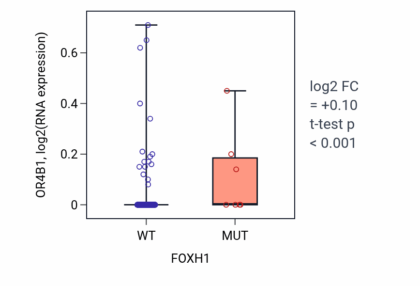 Box plot of OR4B1 in FOXH1-low vs FOXH1-high samples in UCEC.