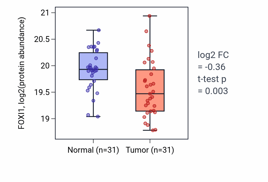 Tumor-vs-normal mass-spec protein box plot for FOXI1 in CCRCC.