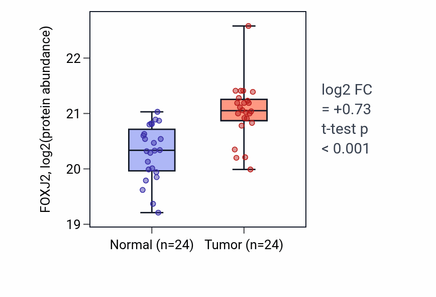 Tumor-vs-normal mass-spec protein box plot for FOXJ2 in CCRCC.