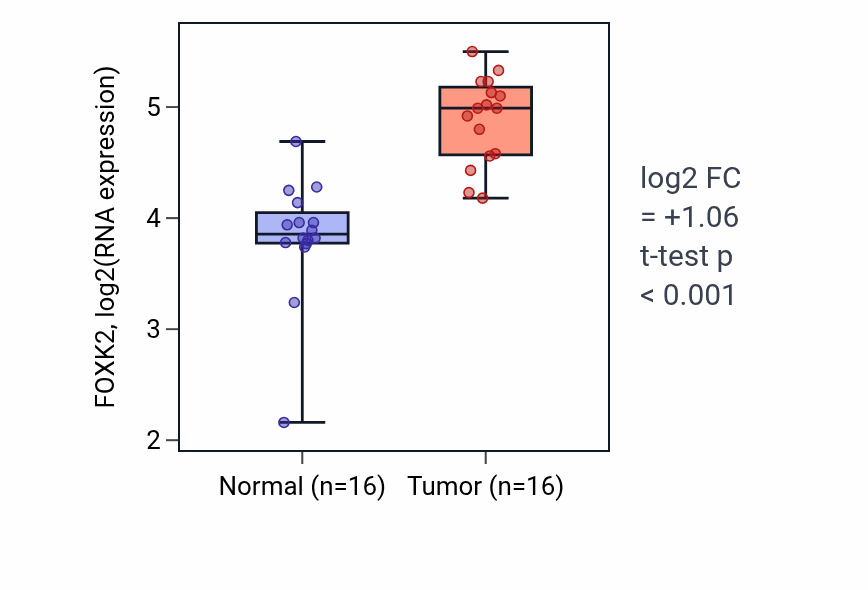 Tumor-vs-normal expression box plot for FOXK2 in HNSC.