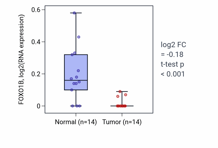 Tumor-vs-normal expression box plot for FOXO1B in THCA.