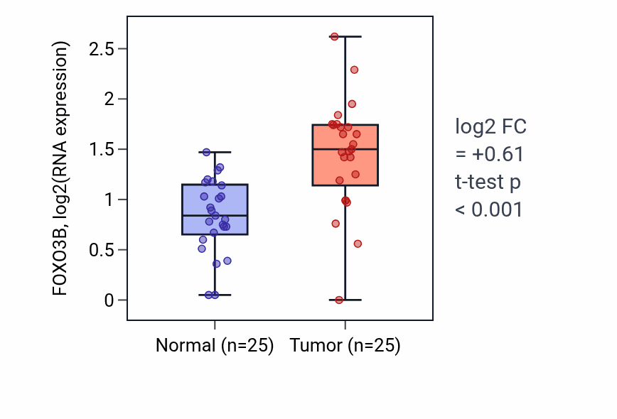 Tumor-vs-normal expression box plot for FOXO3B in HNSC.