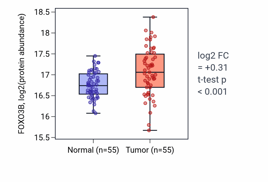 Tumor-vs-normal mass-spec protein box plot for FOXO3B in LSCC.