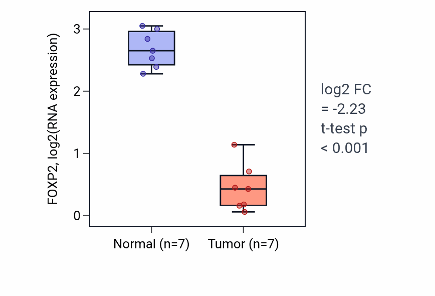 Tumor-vs-normal expression box plot for FOXP2 in THCA.