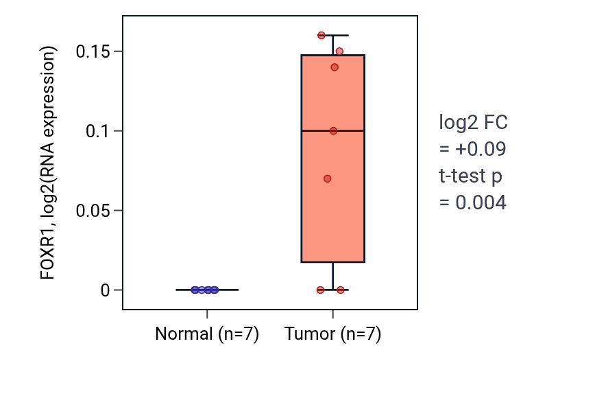 Tumor-vs-normal expression box plot for FOXR1 in BLCA.