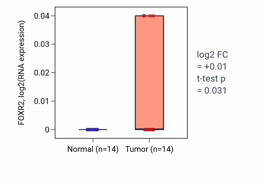 Tumor-vs-normal expression box plot for FOXR2 in THCA.