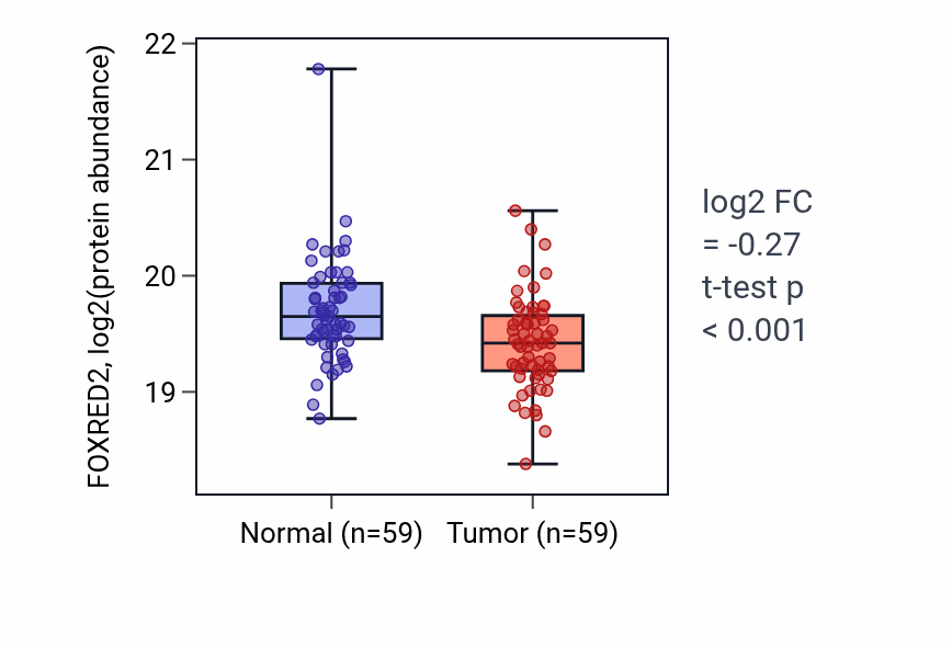 Tumor-vs-normal mass-spec protein box plot for FOXRED2 in LUAD.