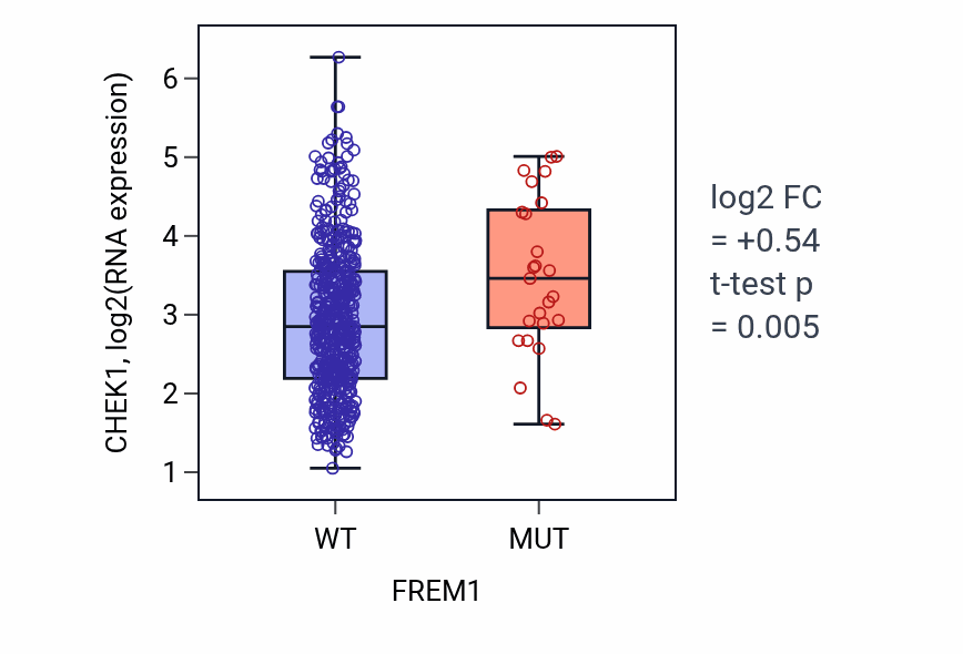 Box plot of CHEK1 in FREM1-low vs FREM1-high samples in LUAD.