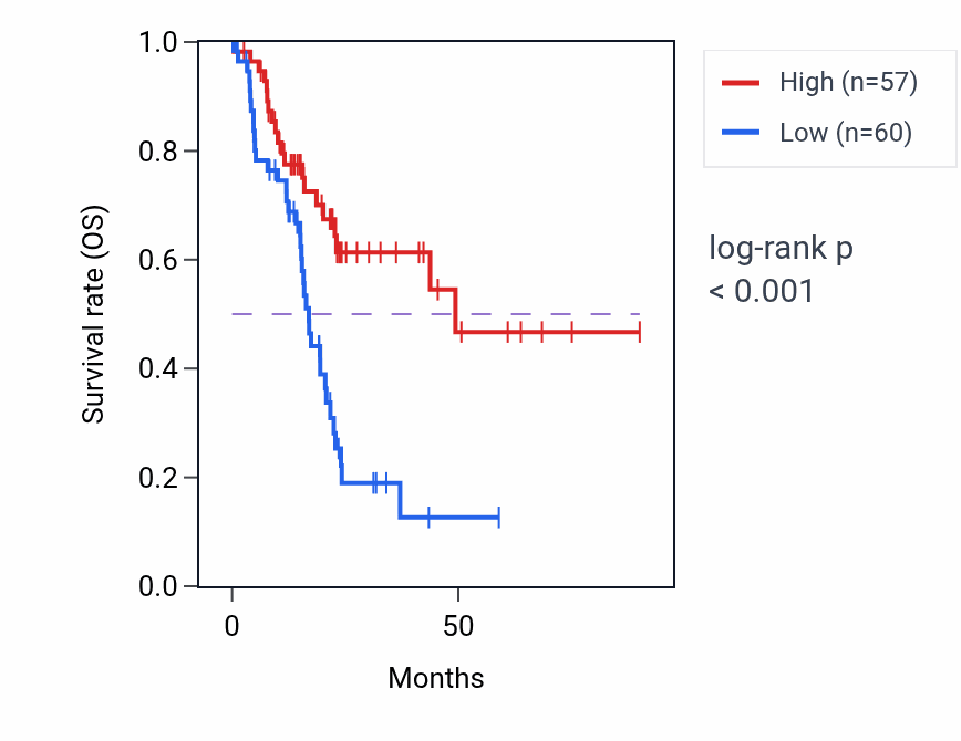 Kaplan&ndash;Meier survival curve for FRY-AS1 RNA-high vs -low samples in PAAD.