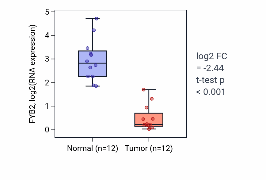 Tumor-vs-normal expression box plot for FYB2 in KIRC.
