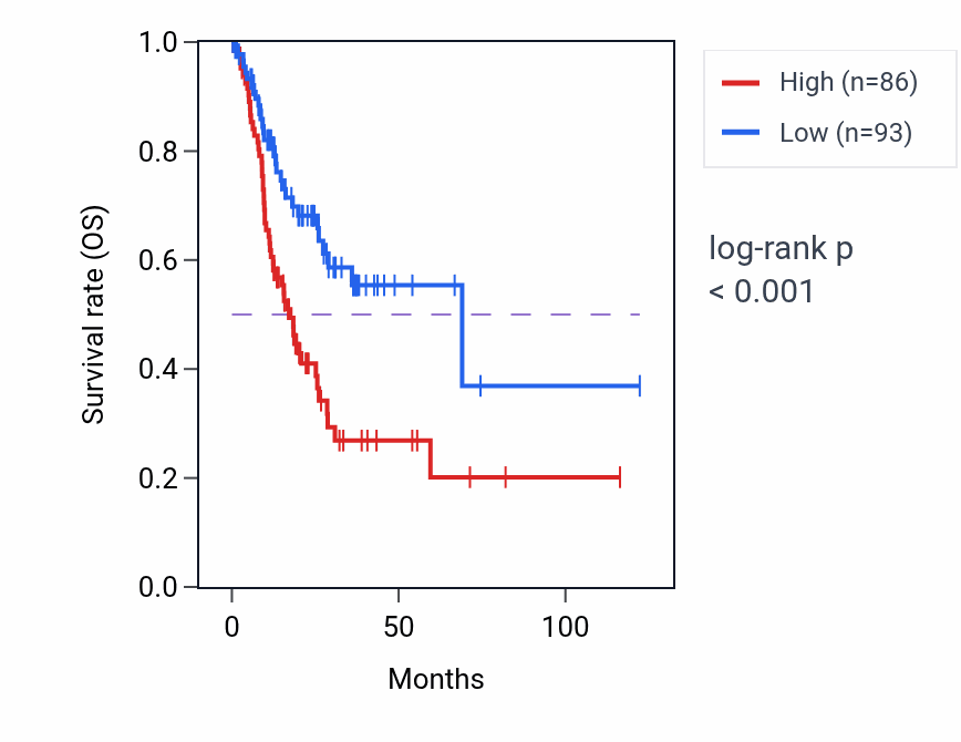Kaplan&ndash;Meier survival curve for GALNT13 RNA expression in STAD: high vs low expression groups.
