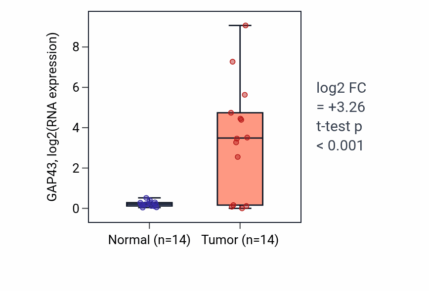 Tumor-vs-normal expression box plot for GAP43 in THCA.