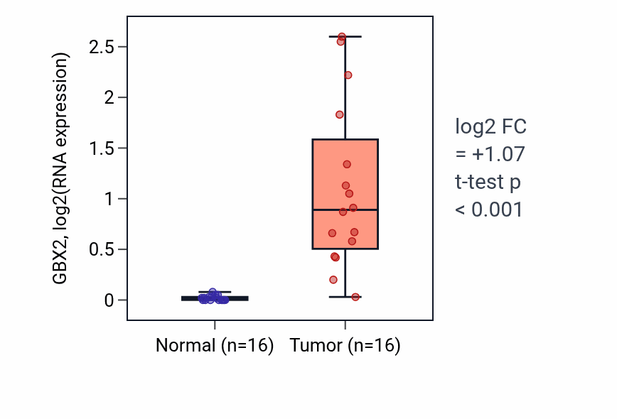 Tumor-vs-normal expression box plot for GBX2 in HNSC.