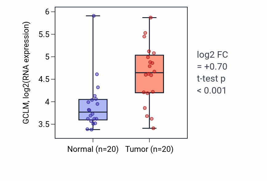 Tumor-vs-normal expression box plot for GCLM in KIRC.
