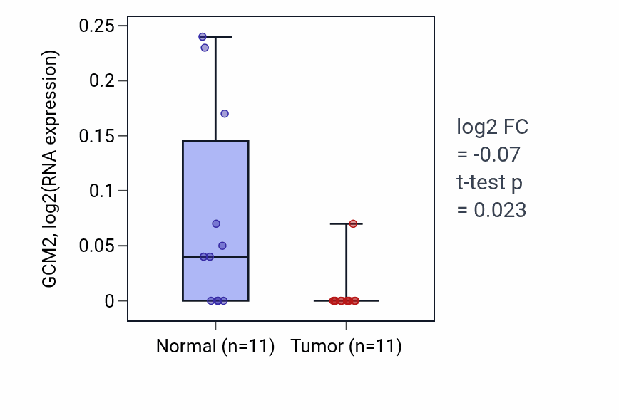 Tumor-vs-normal expression box plot for GCM2 in UCEC.