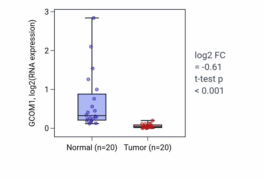 Tumor-vs-normal expression box plot for GCOM1 in KIRC.