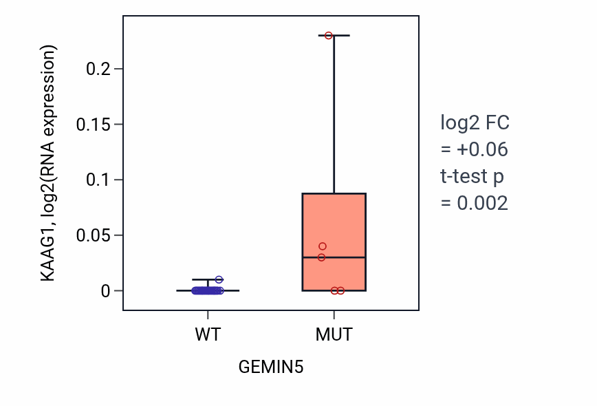 Box plot of KAAG1 in GEMIN5-low vs GEMIN5-high samples in BLOOD_Myeloma.