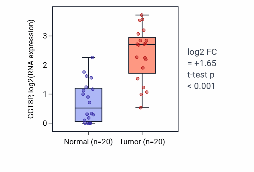 Tumor-vs-normal expression box plot for GGT8P in KIRC.