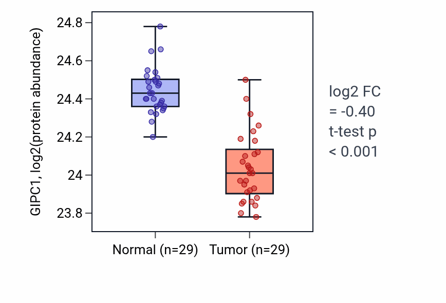 Tumor-vs-normal mass-spec protein box plot for GIPC1 in CCRCC.