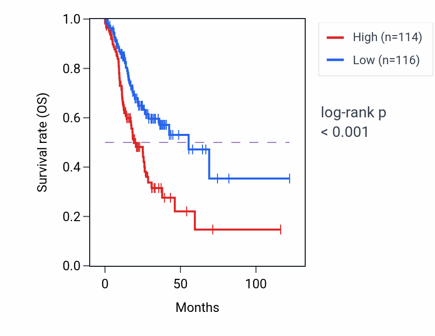 Kaplan&ndash;Meier survival curve for GJA1 RNA-high vs -low samples in STAD.