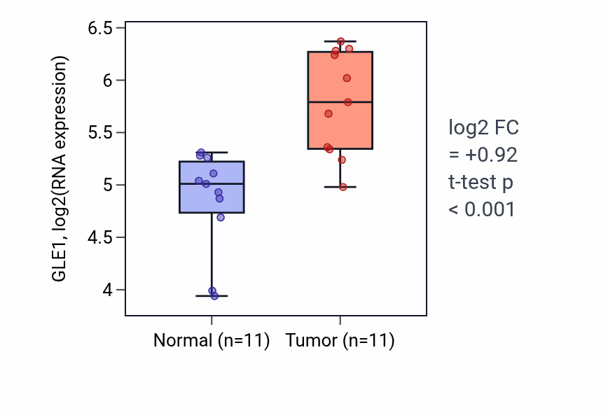 Tumor-vs-normal expression box plot for GLE1 in HNSC.