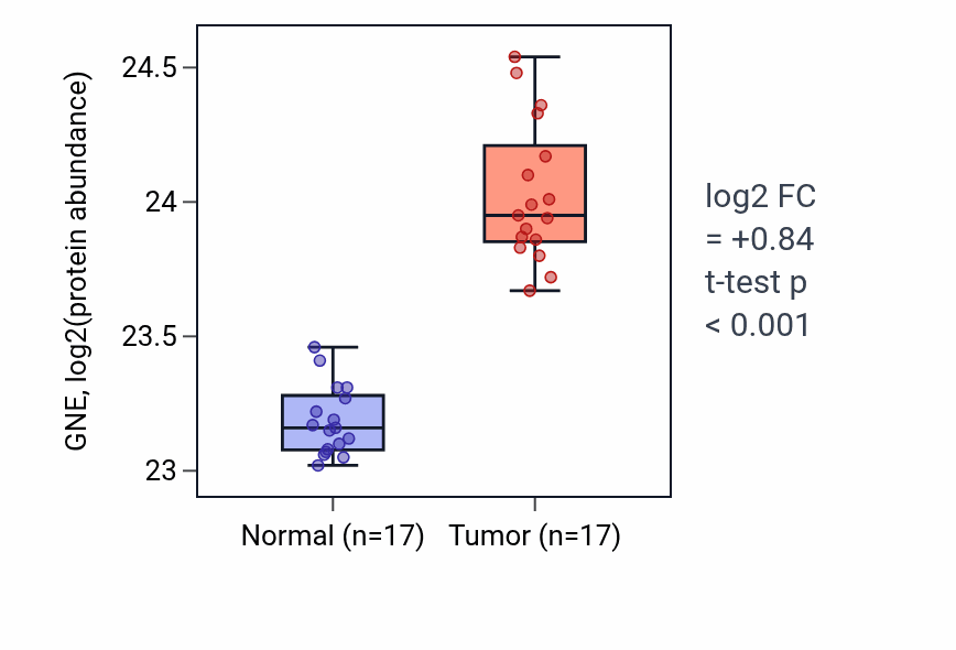 Tumor-vs-normal mass-spec protein box plot for GNE in CCRCC.