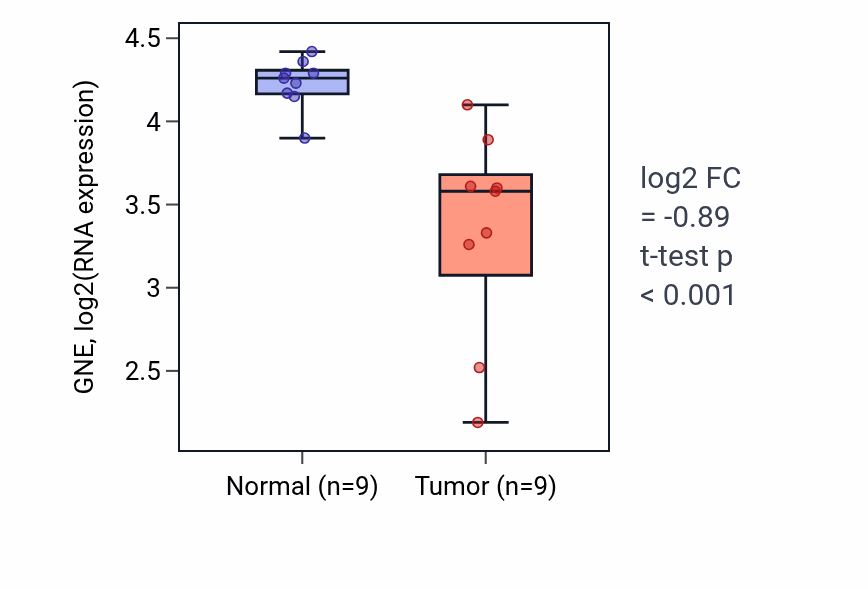 Tumor-vs-normal expression box plot for GNE RNA in THCA.