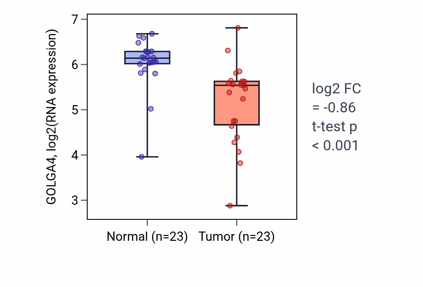 Tumor-vs-normal expression box plot for GOLGA4 in THCA.