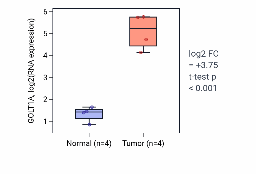Tumor-vs-normal expression box plot for GOLT1A RNA in THCA.