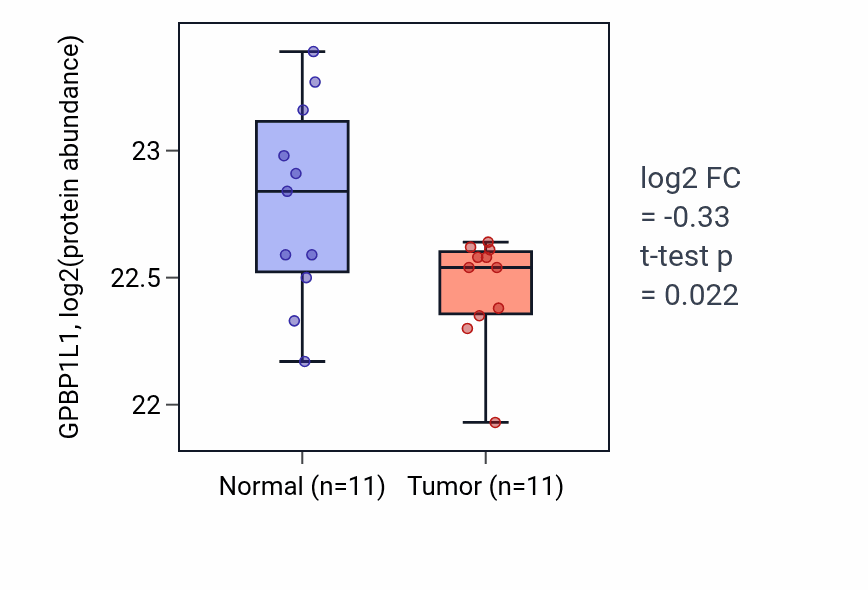 Tumor-vs-normal mass-spec protein box plot for GPBP1L1 in HNSC.