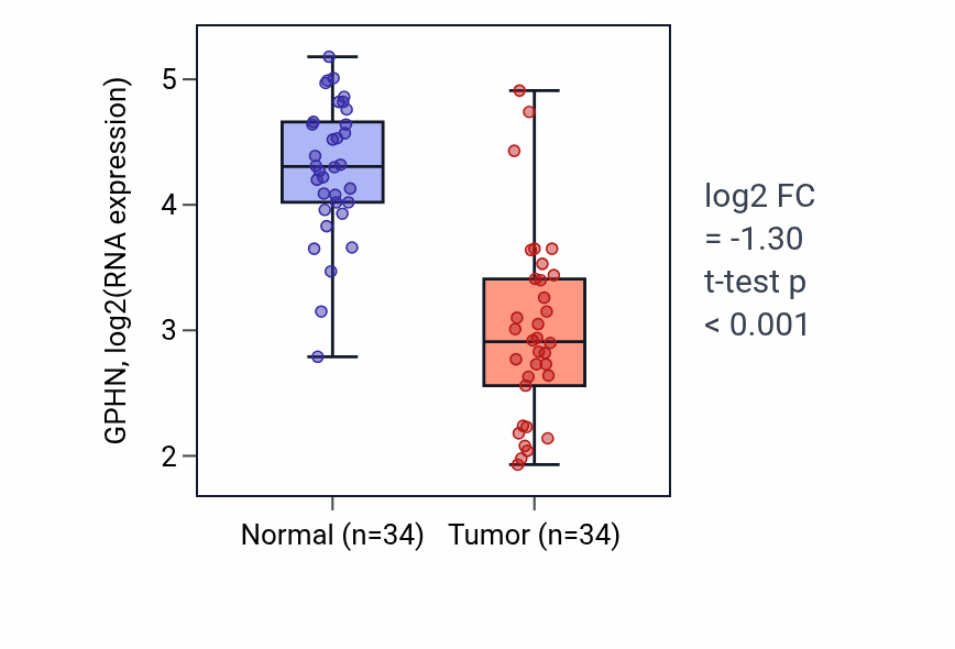Tumor-vs-normal expression box plot for GPHN in KIRC.
