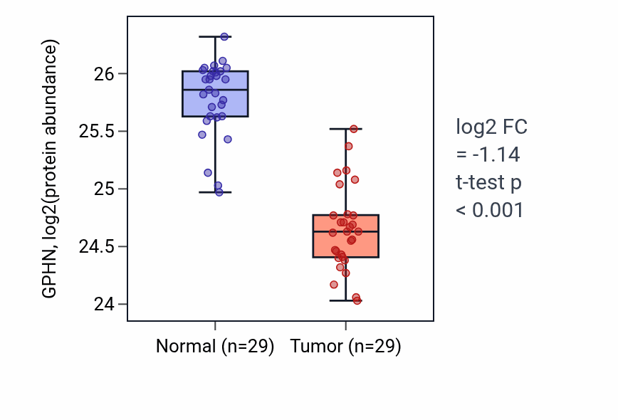 Tumor-vs-normal mass-spec protein box plot for GPHN in CCRCC.