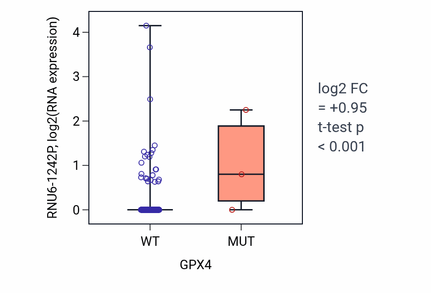 Box plot of RNU6-1242P in GPX4-low vs GPX4-high samples in COAD.
