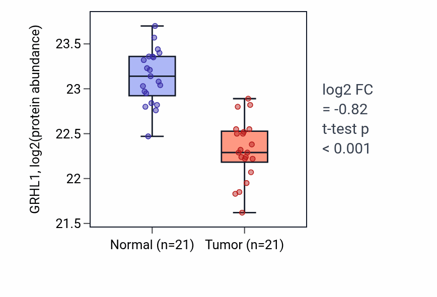 Tumor-vs-normal mass-spec protein box plot for GRHL1 in HNSC.
