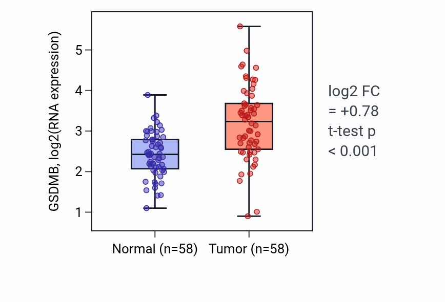 Tumor-vs-normal expression box plot for GSDMB in THCA.