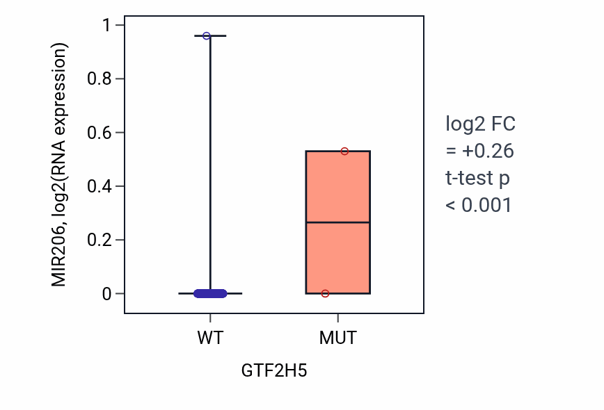 Box plot of MIR206 in GTF2H5-low vs GTF2H5-high samples in SKCM.