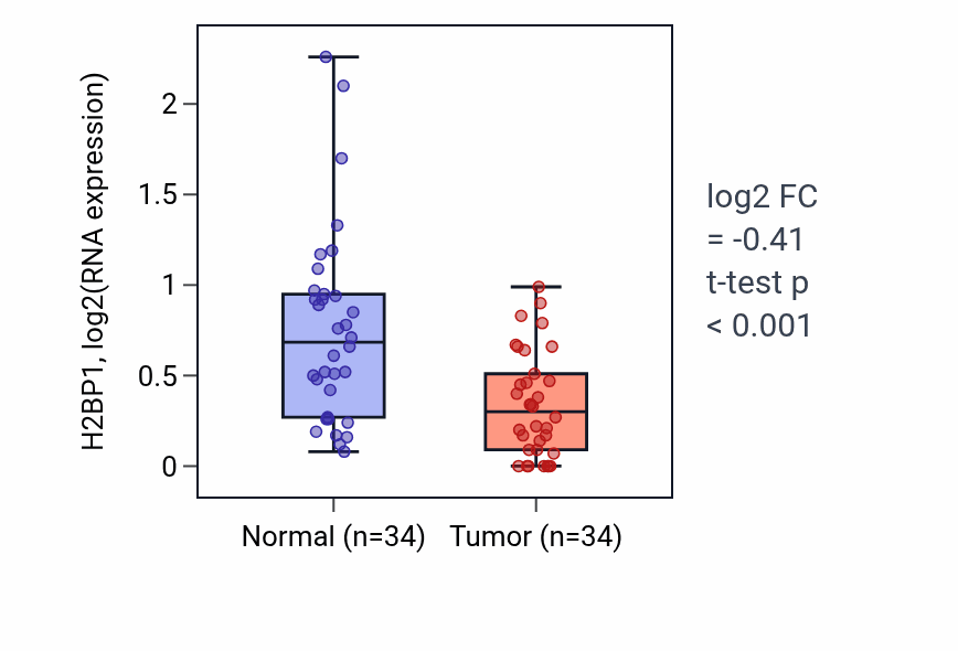 Tumor-vs-normal expression box plot for H2BP1 in KIRC.