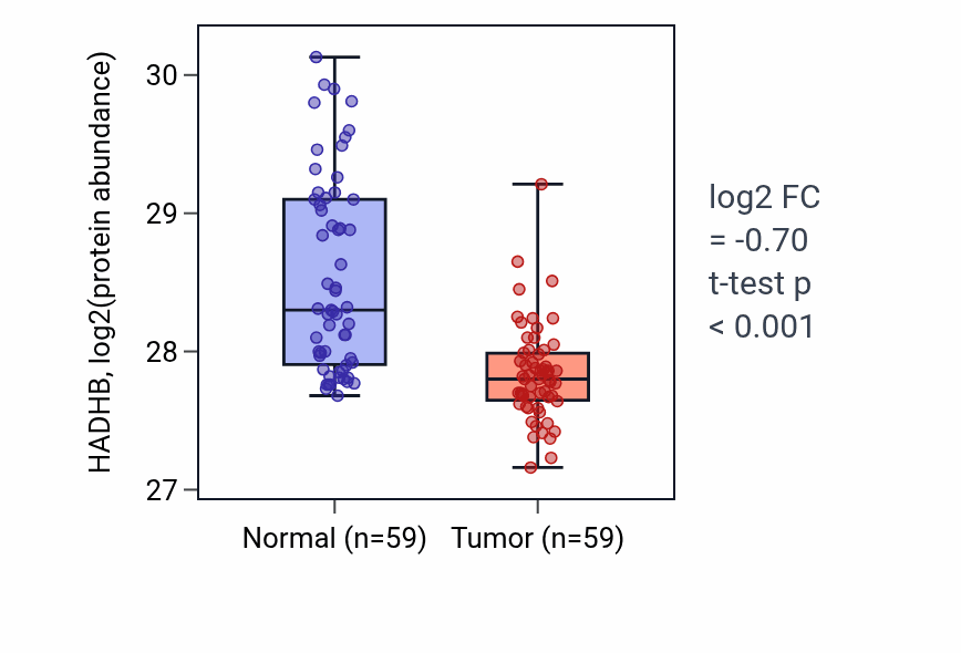 Tumor-vs-normal mass-spec protein box plot for HADHB in HNSC.