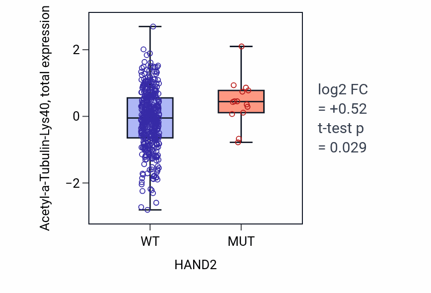 Box plot of Acetyl-a-Tubulin-Lys40 in HAND2-low vs HAND2-high samples in UCEC.