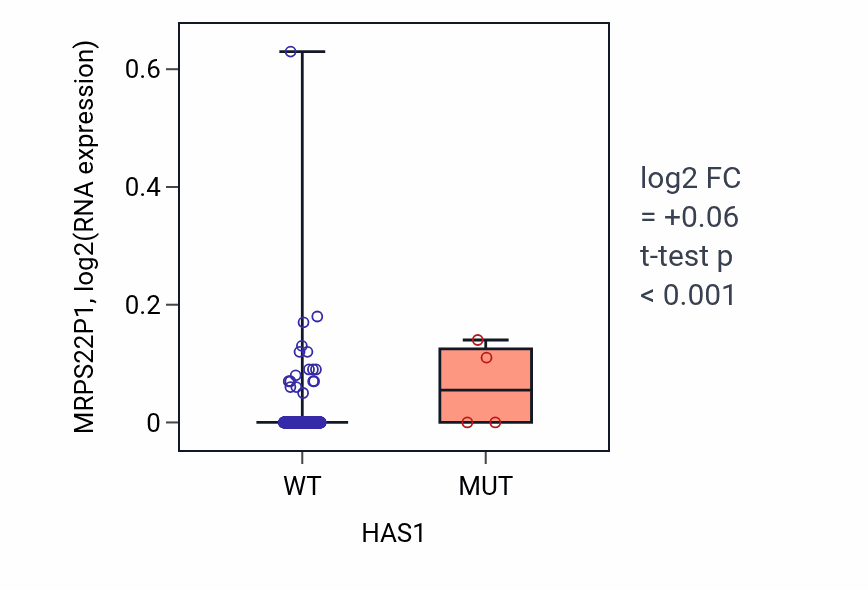Box plot of MRPS22P1 in HAS1-low vs HAS1-high samples in LUAD.
