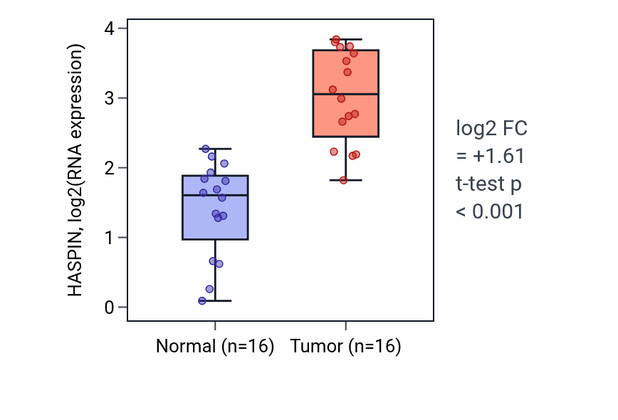 Tumor-vs-normal expression box plot for HASPIN in HNSC.