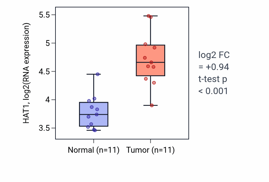 Tumor-vs-normal expression box plot for HAT1 in HNSC.