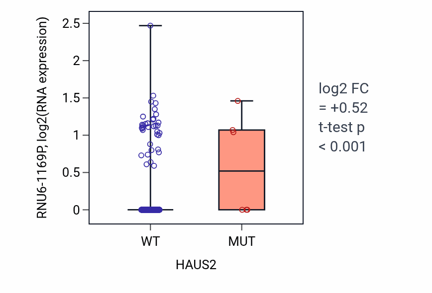 Box plot of RNU6-1169P in HAUS2-low vs HAUS2-high samples in UCEC.
