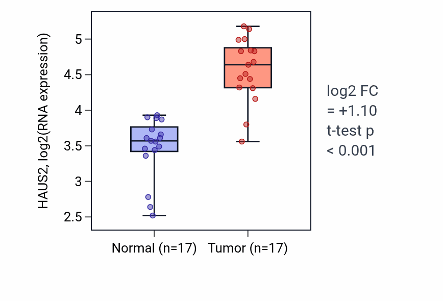 Tumor-vs-normal expression box plot for HAUS2 in HNSC.