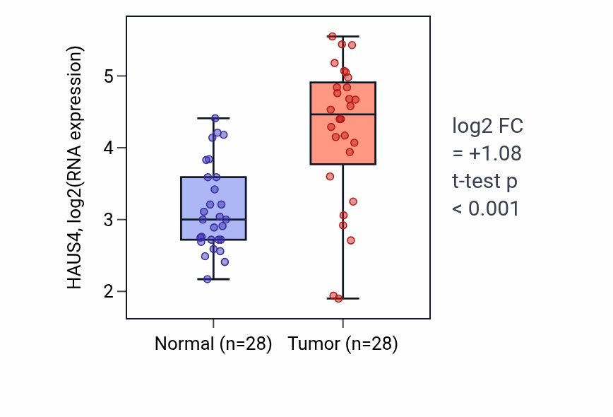 Tumor-vs-normal expression box plot for HAUS4 in LIHC.
