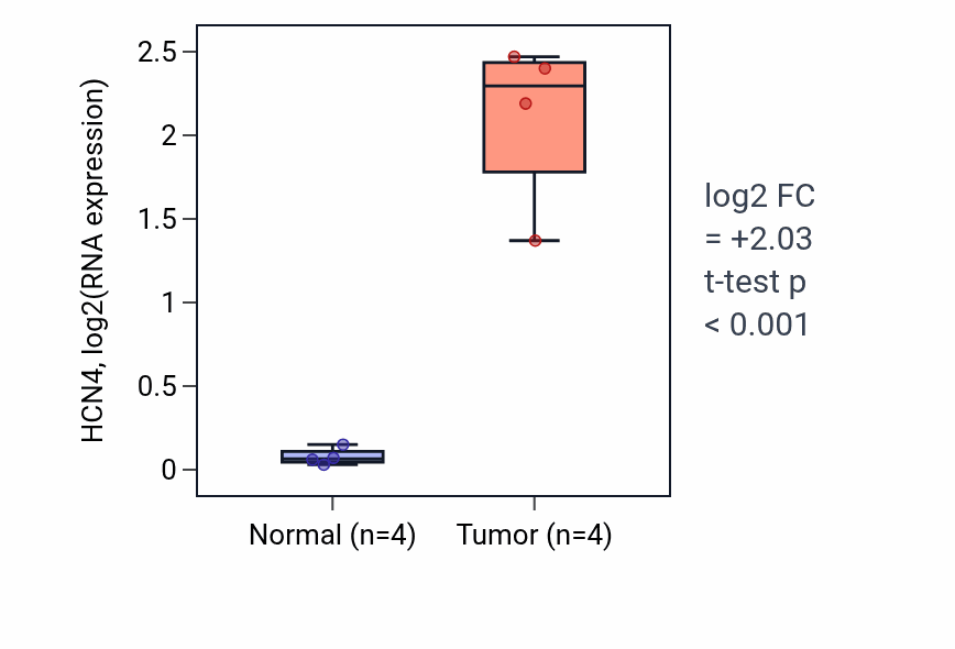 Tumor-vs-normal expression box plot for HCN4 in THCA.
