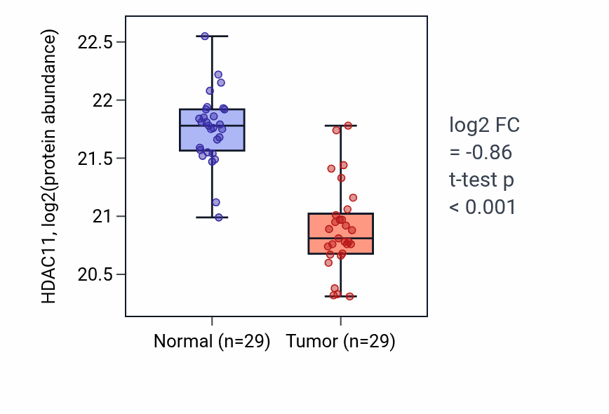 Tumor-vs-normal mass-spec protein box plot for HDAC11 in CCRCC.