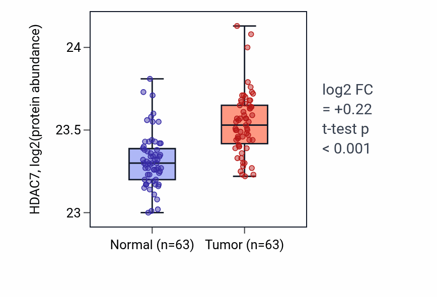 Tumor-vs-normal mass-spec protein box plot for HDAC7 in CCRCC.
