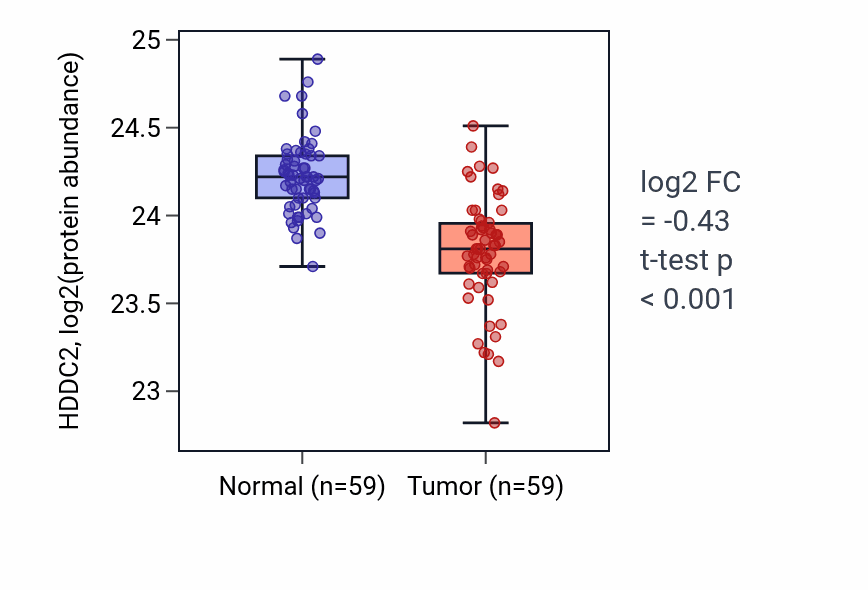 Tumor-vs-normal mass-spec protein box plot for HDDC2 in HNSC.