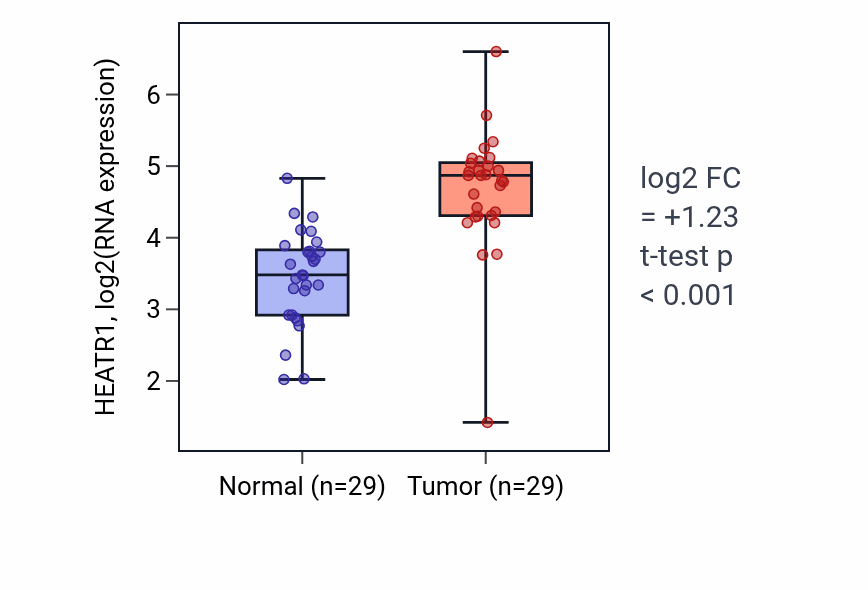 Tumor-vs-normal expression box plot for HEATR1 in HNSC.
